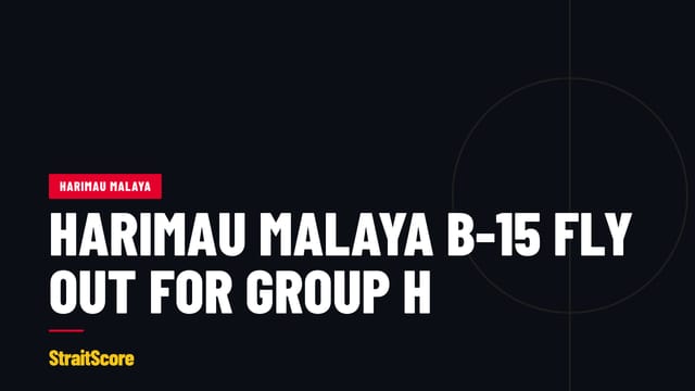 Headline graphic with the words Harimau Malaya B-15 fly out for Group H.